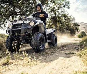Kawasaki KVF 300 ATV